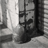Christoph Radke, New York City, Long Island City, 2022
